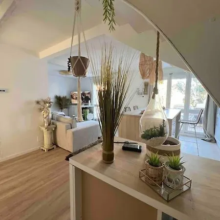 Ivissa Cosy Calme Y Confortable וילה קאנט אן רוסיון